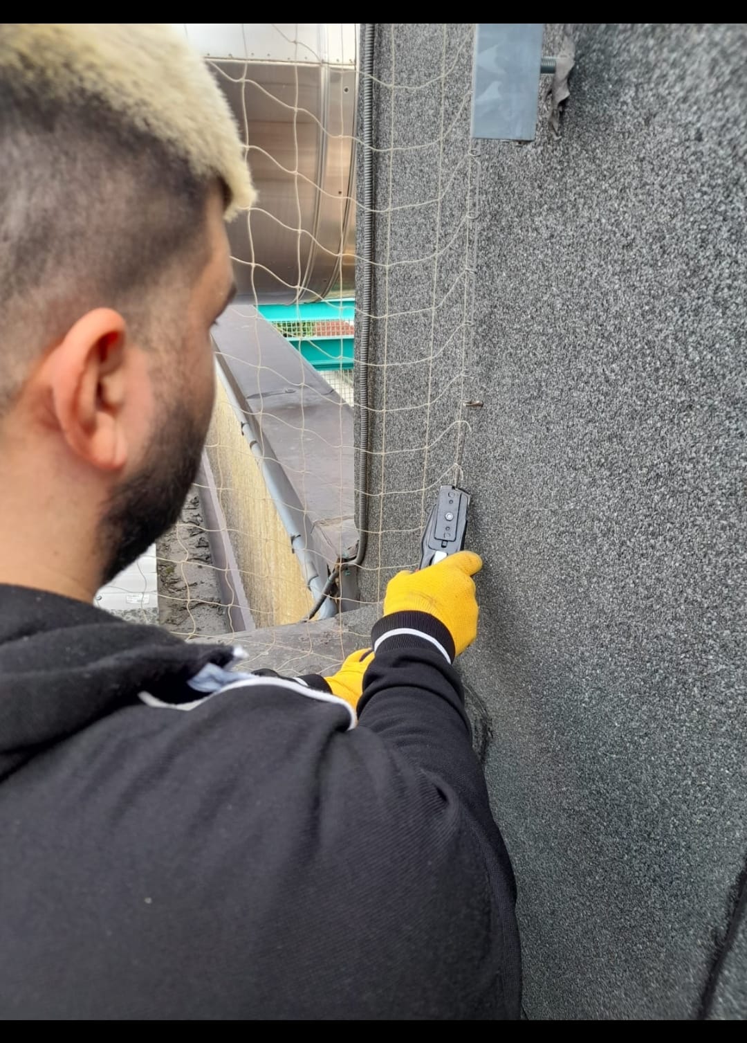Intervento di allontamento volatili presso un condominio